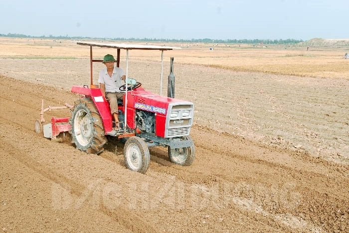 [Photos] Duc Chinh modernizes agricultural production
